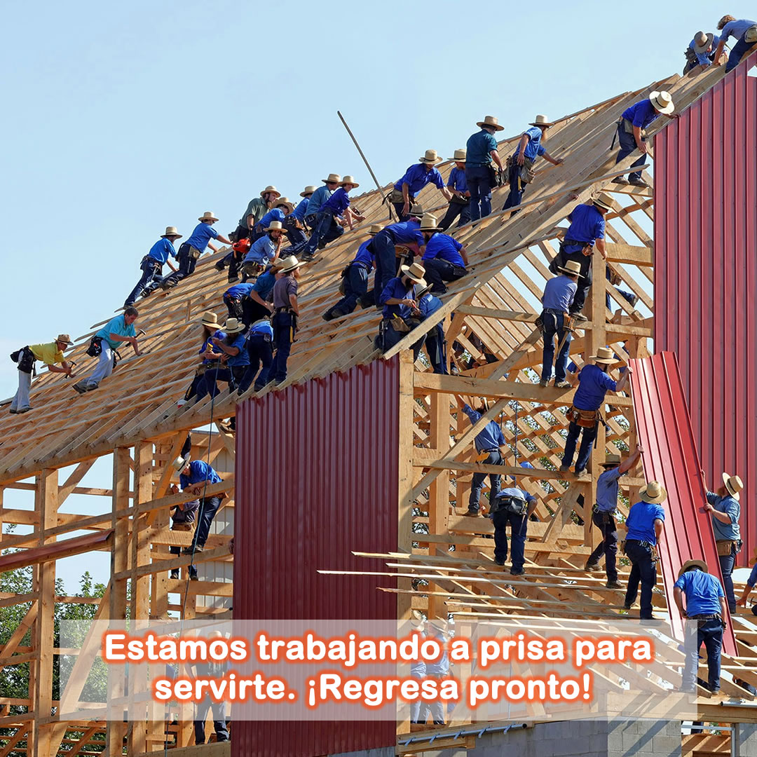 Hombres trabajando para colocar el techo de una edificación