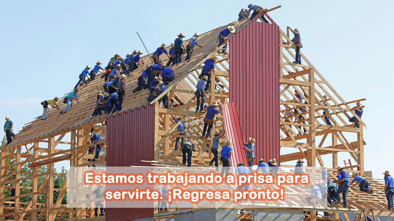 Hombres trabajando para colocar el techo de una edificación